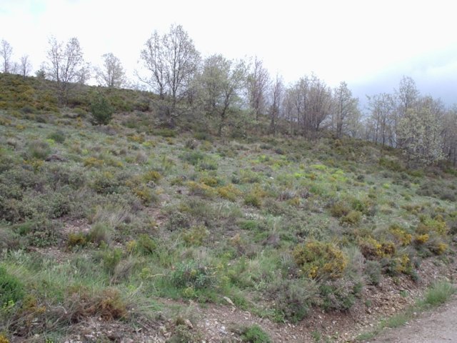 P5280087 Wandeling Trevelez  naar Portgos